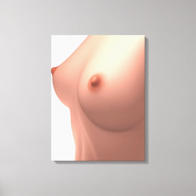 Conceptual Image Of Female Breast Canvas Print (Front)