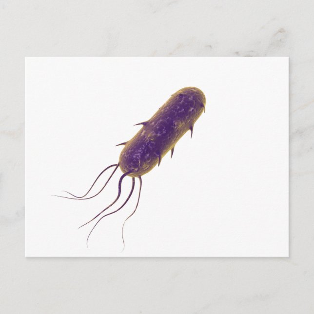 Conceptual Image Of Flagellate Bacterium 2 Postcard (Front)