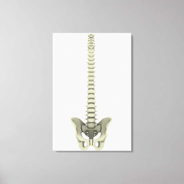 Conceptual Image Of Human Backbone 1 Canvas Print (Front)