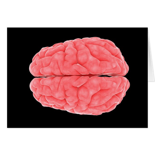 Conceptual Image Of Human Brain 10 (Front Horizontal)
