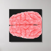 Conceptual Image Of Human Brain 10