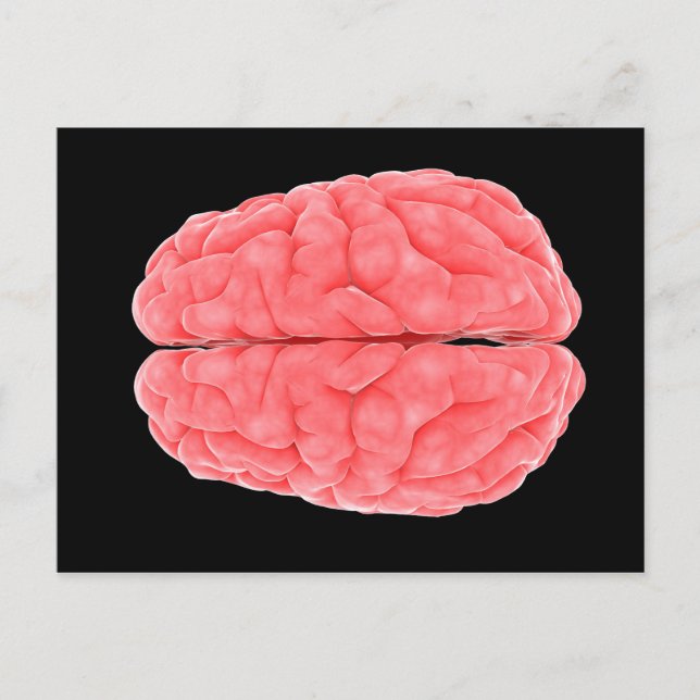 Conceptual Image Of Human Brain 10 Postcard (Front)