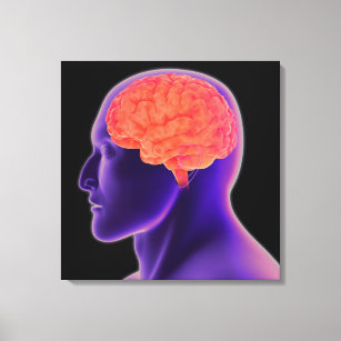 Conceptual Image Of Human Brain 1 Canvas Print