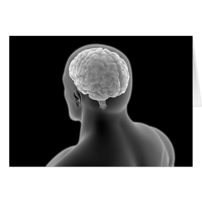 Conceptual Image Of Human Brain 2 (Front Horizontal)