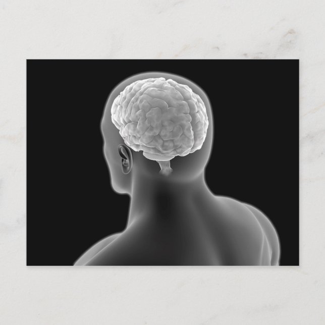Conceptual Image Of Human Brain 2 Postcard (Front)
