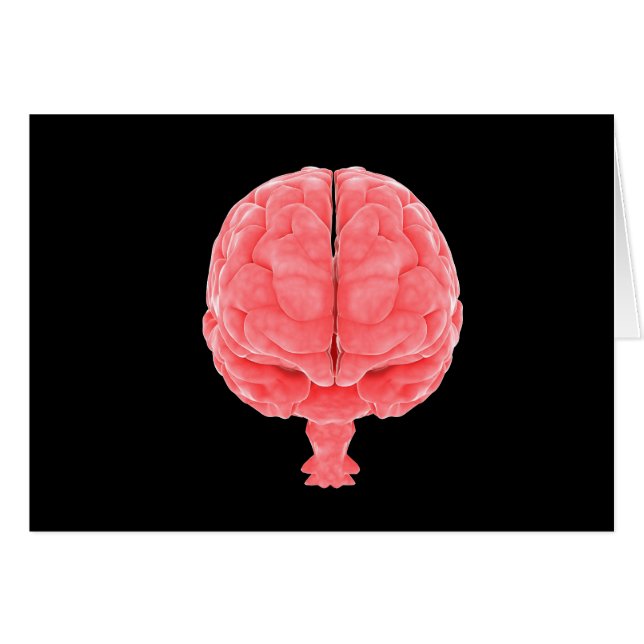 Conceptual Image Of Human Brain 3 (Front Horizontal)
