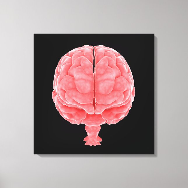 Conceptual Image Of Human Brain 3 Canvas Print (Front)