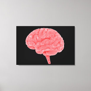 Conceptual Image Of Human Brain 4 Canvas Print
