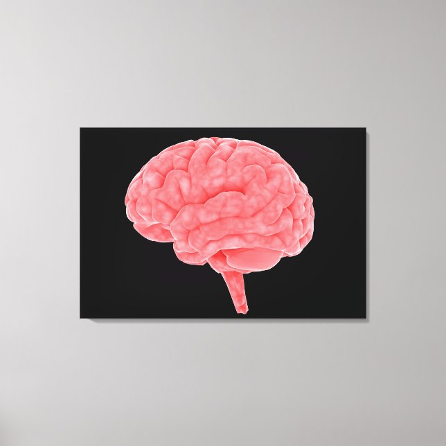 Conceptual Image Of Human Brain 4 Canvas Print (Front)