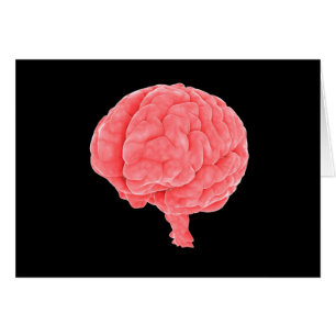 Conceptual Image Of Human Brain 5