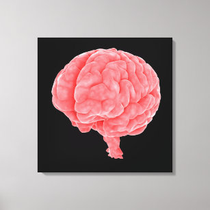 Conceptual Image Of Human Brain 5 Canvas Print
