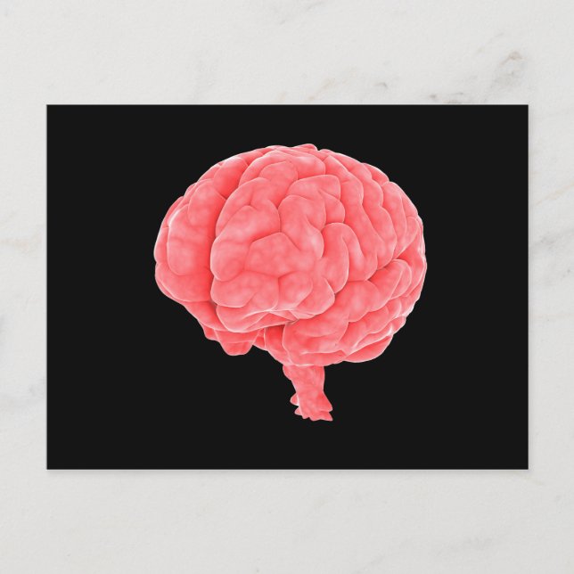 Conceptual Image Of Human Brain 5 Postcard (Front)