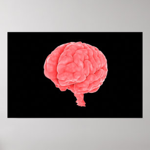 Conceptual Image Of Human Brain 5 Poster