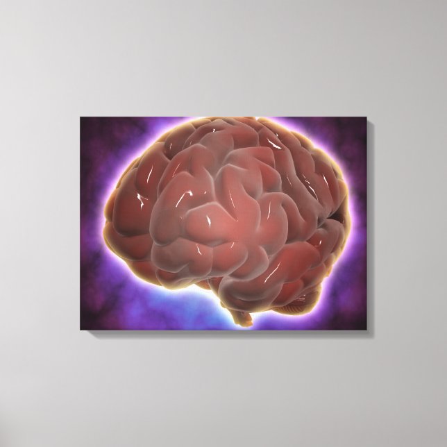Conceptual Image Of Human Brain 6 Canvas Print (Front)