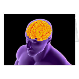 Conceptual Image Of Human Brain 8