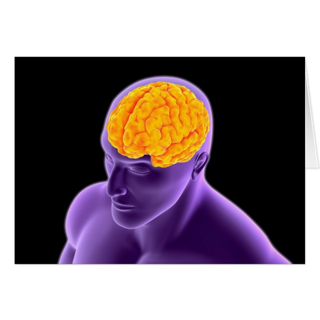 Conceptual Image Of Human Brain 8 (Front Horizontal)