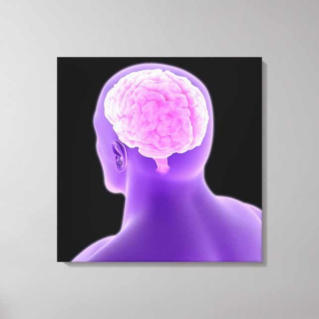 Conceptual Image Of Human Brain 9 Canvas Print (Front)