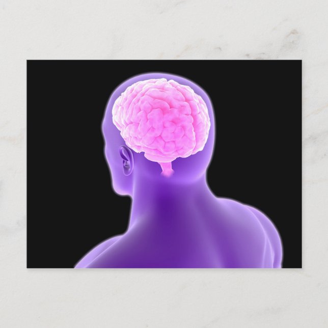 Conceptual Image Of Human Brain 9 Postcard (Front)