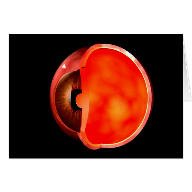 Conceptual Image Of Human Eye Cross Section 1 (Front Horizontal)