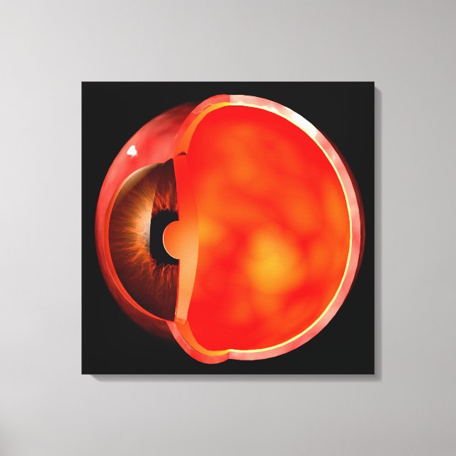 Conceptual Image Of Human Eye Cross Section 1 Canvas Print (Front)