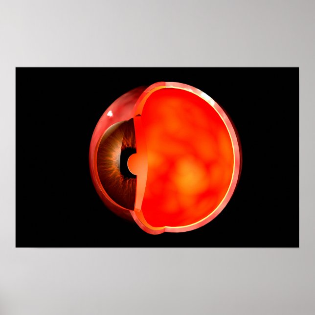 Conceptual Image Of Human Eye Cross Section 1 Poster (Front)