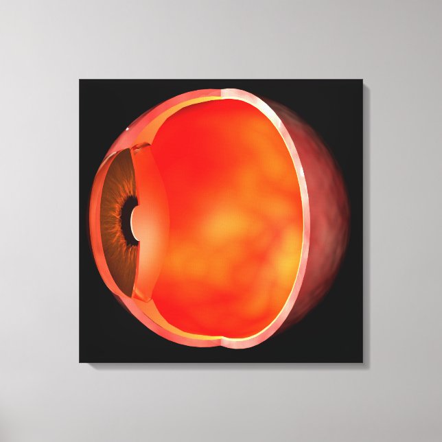 Conceptual Image Of Human Eye Cross Section 2 Canvas Print (Front)