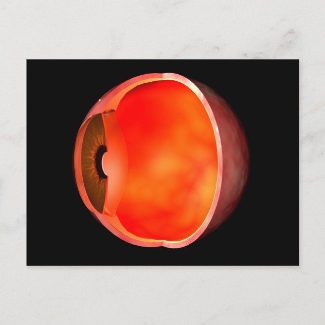 Conceptual Image Of Human Eye Cross Section 2 Postcard (Front)