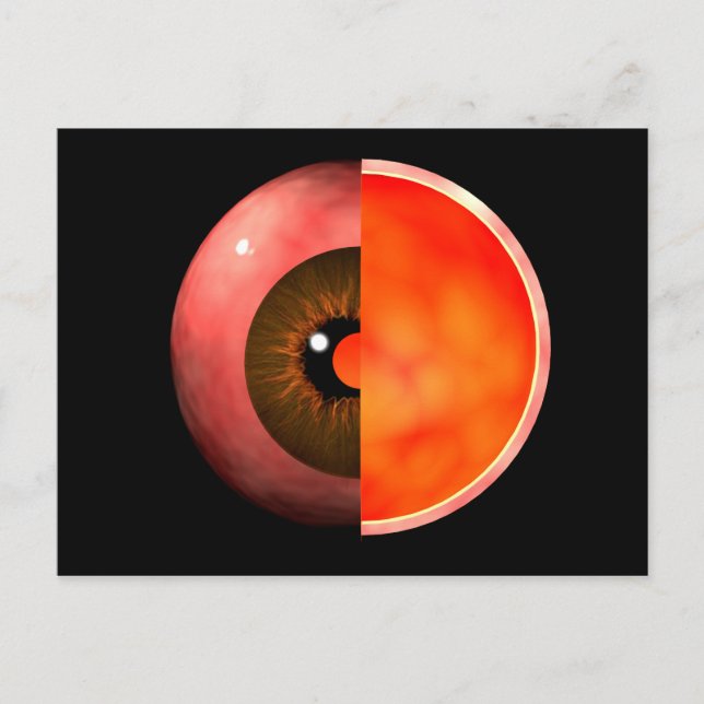 Conceptual Image Of Human Eye Cross Section 3 Postcard (Front)