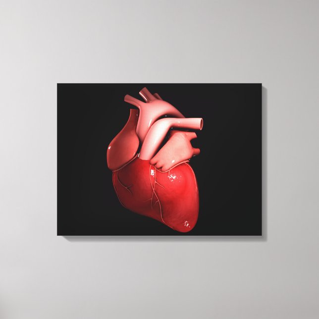 Conceptual Image Of Human Heart 1 Canvas Print (Front)