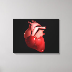 Conceptual Image Of Human Heart 1 Canvas Print