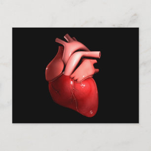 Conceptual Image Of Human Heart 1 Postcard