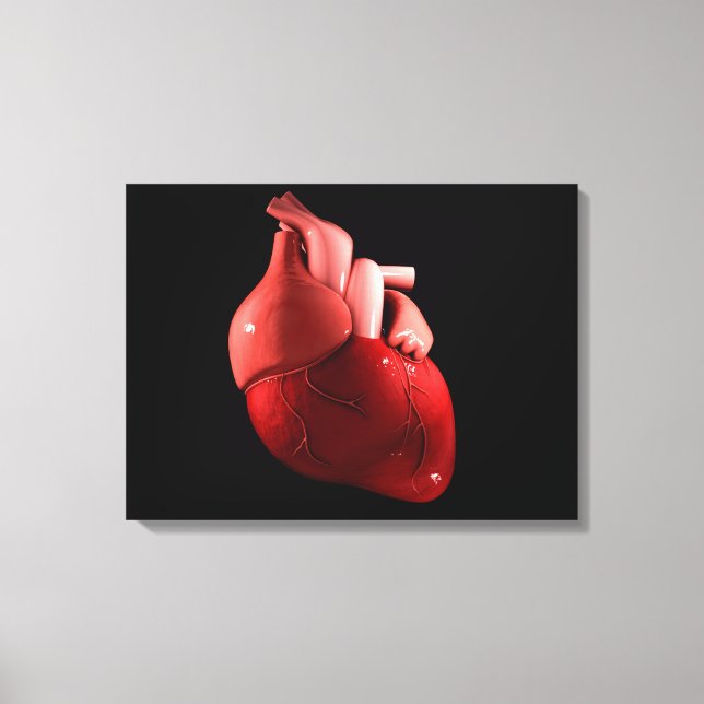 Conceptual Image Of Human Heart 2 Canvas Print (Front)