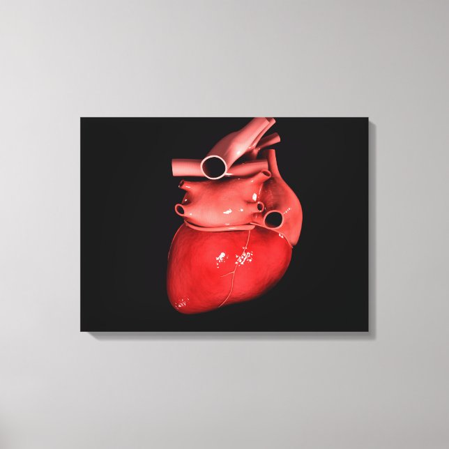 Conceptual Image Of Human Heart 3 Canvas Print (Front)