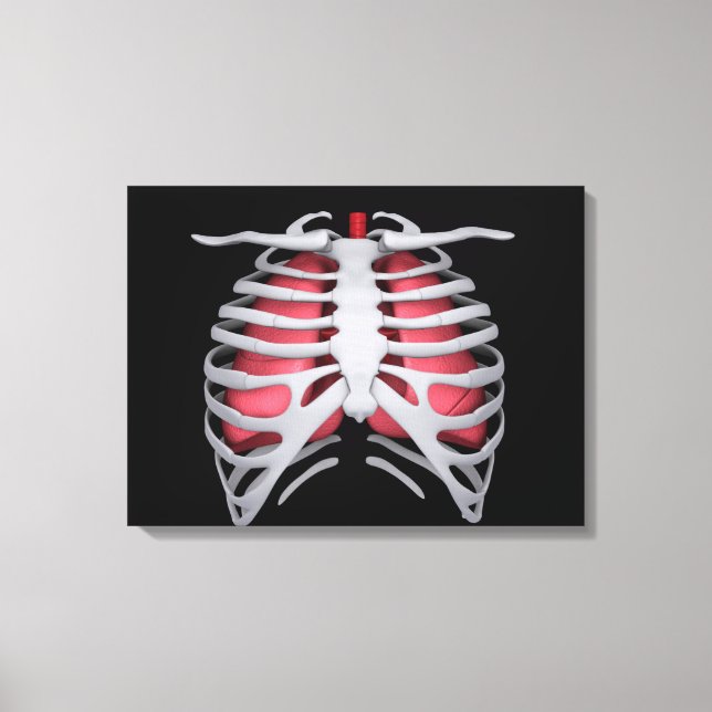 Conceptual Image Of Human Lungs And Rib Cage 1 Canvas Print (Front)