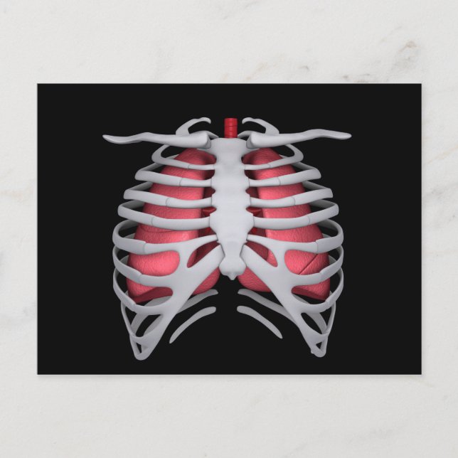 Conceptual Image Of Human Lungs And Rib Cage 1 Postcard (Front)