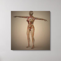 Conceptual Image Of Human Nervous System 2