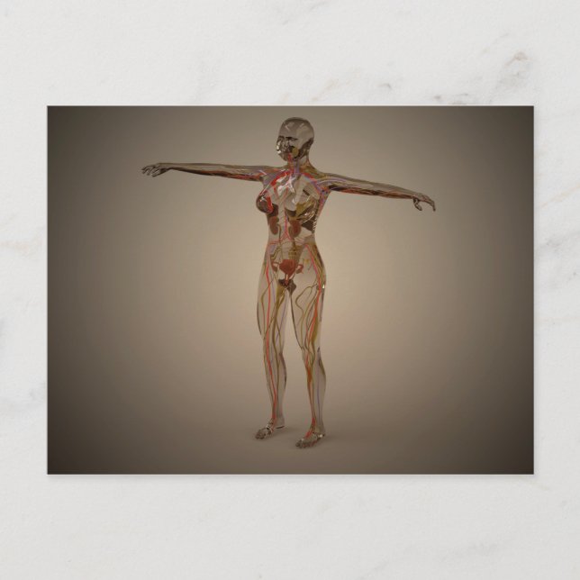 Conceptual Image Of Human Nervous System 2 Postcard (Front)