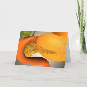 Conceptual Image Of Human Pancreas And Stomach Card