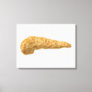Conceptual Image Of Human Pancreas Canvas Print