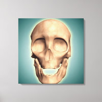 Conceptual Image Of Human Skull, Front View
