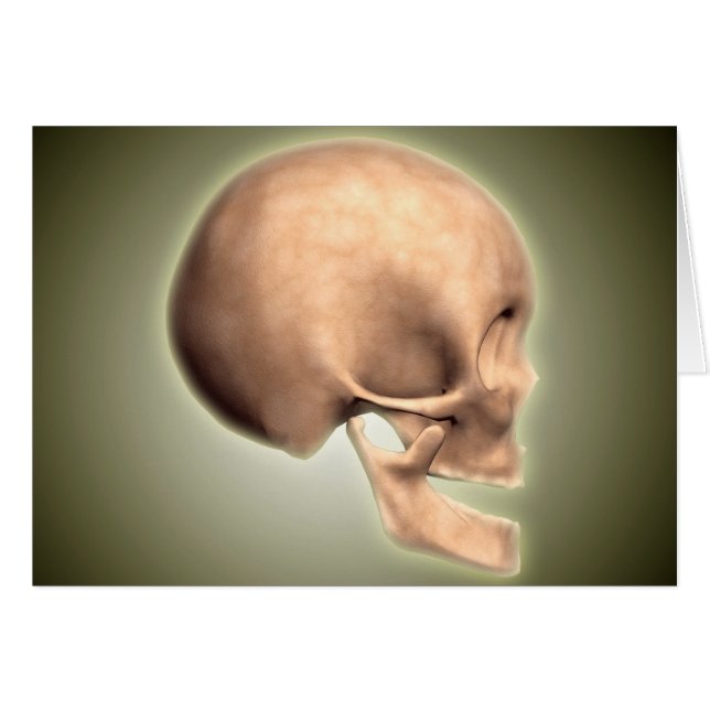 Conceptual Image Of Human Skull, Side View (Front Horizontal)