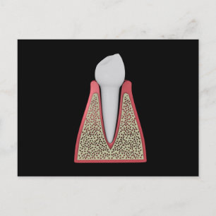 Conceptual Image Of Human Tooth 1 Postcard