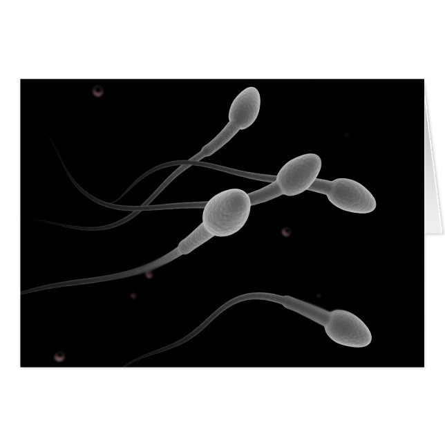 Conceptual Image Of Male Sperm (Front Horizontal)