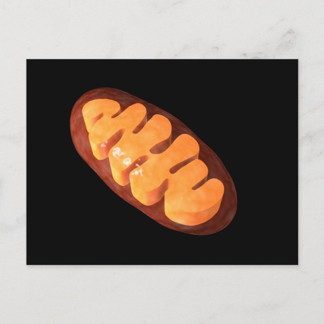 Conceptual Image Of Mitochondria 1 Postcard (Front)