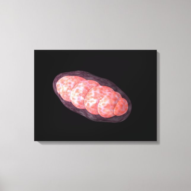 Conceptual Image Of Mitochondria 2 Canvas Print (Front)
