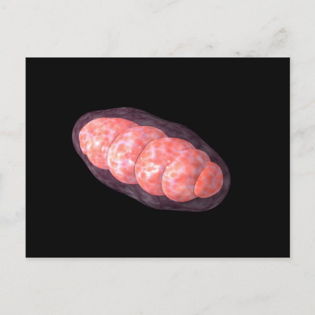 Conceptual Image Of Mitochondria 2 Postcard (Front)