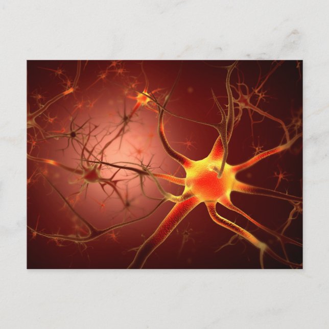Conceptual Image Of Neuron 1 Postcard (Front)