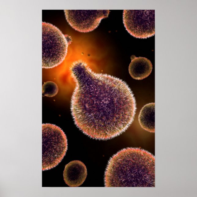 Conceptual Image Of Plasmodium Causing Malaria 4 Poster (Front)