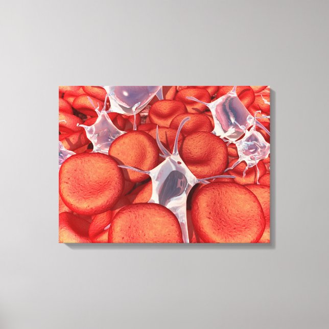 Conceptual Image Of Red Blood Cells 2 Canvas Print (Front)