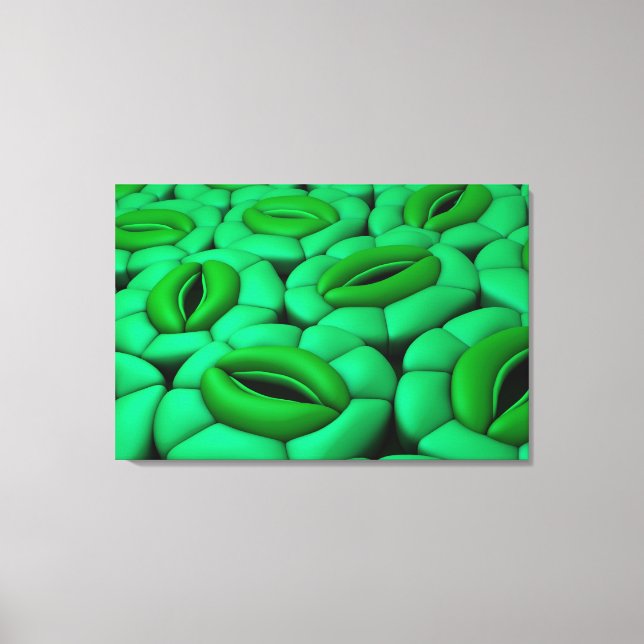 Conceptual Image Of Stomata 1 Canvas Print (Front)